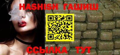 стаф Владимир